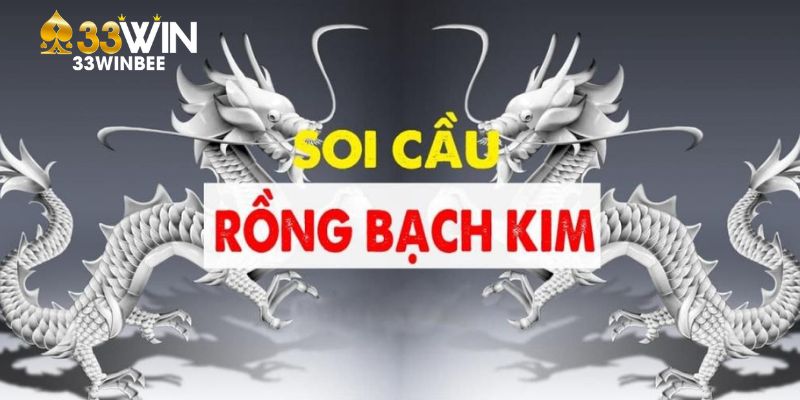 Tìm hiểu về phương pháp soi cầu Rồng bạch kim