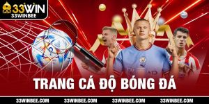 Trang Cá Độ Bóng Đá 33win